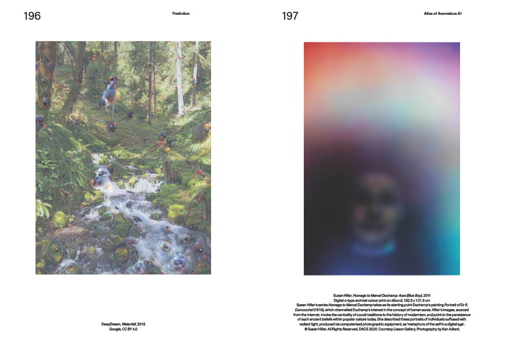 Atlas of Anomalous AI