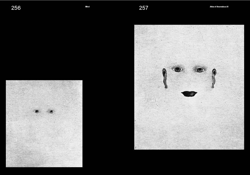 Atlas of Anomalous AI