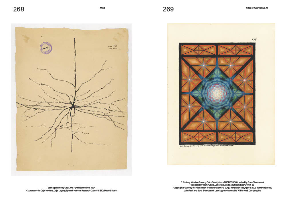 Atlas of Anomalous AI
